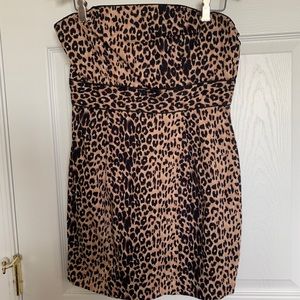 Cheetah Print Mini